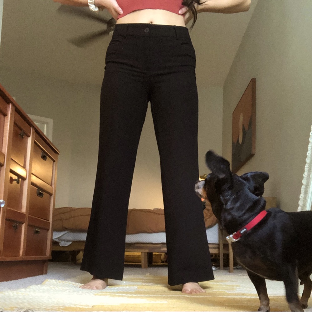 Curvy Wide-leg Loft Trouser